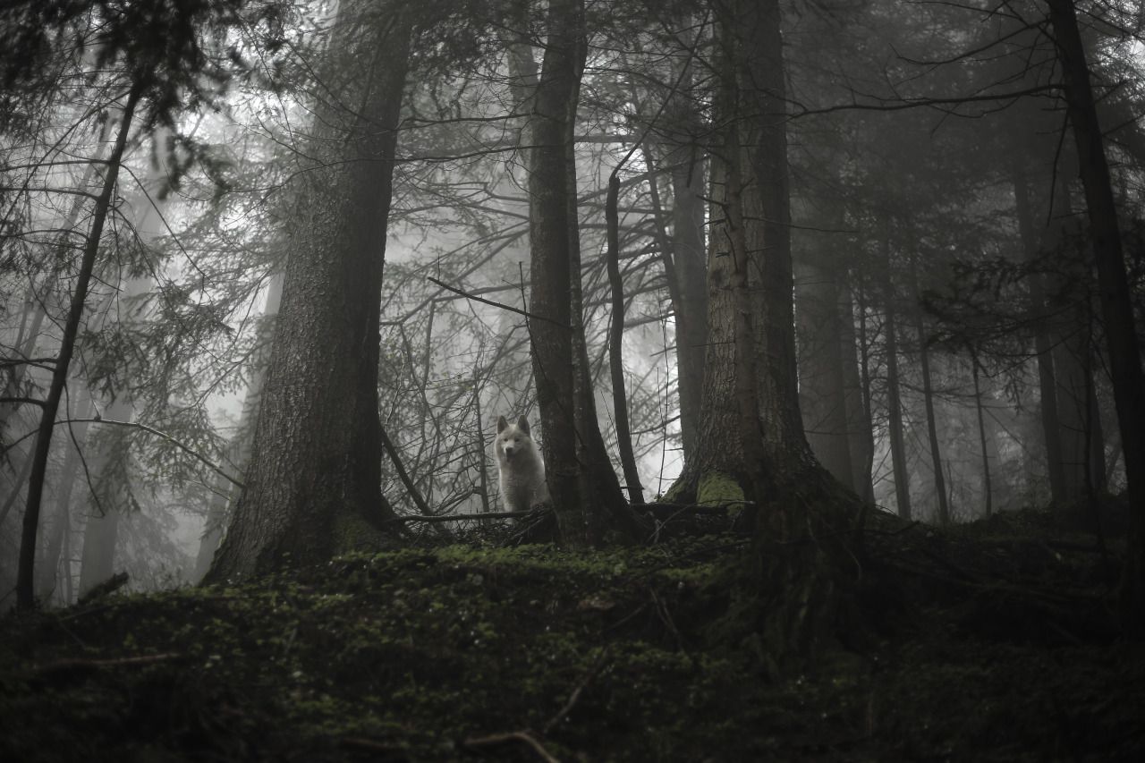 Source: http://j-k-i-ng.tumblr.com