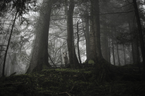 Source: http://j-k-i-ng.tumblr.com