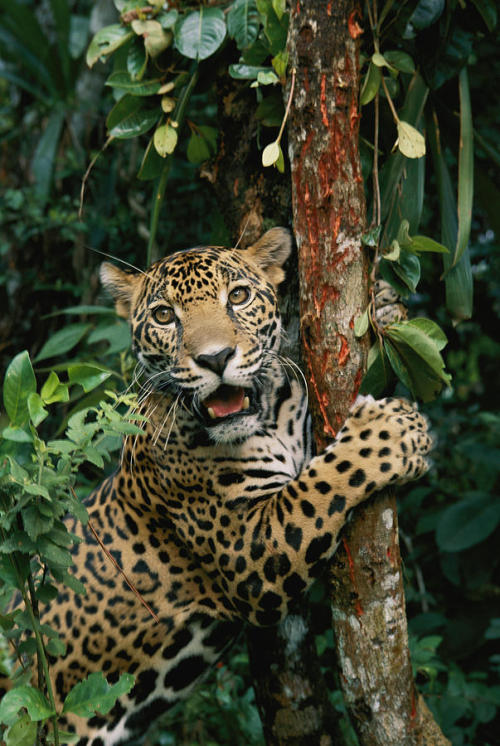 Source: http://solar-bar.tumblr.com