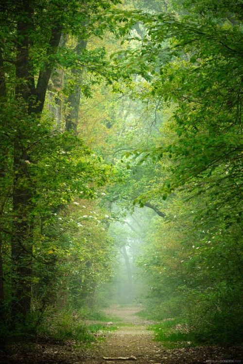 Source: http://silvaris.tumblr.com