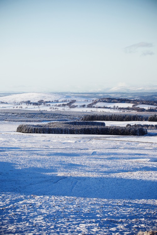 Source: http://kylebonallo.tumblr.com