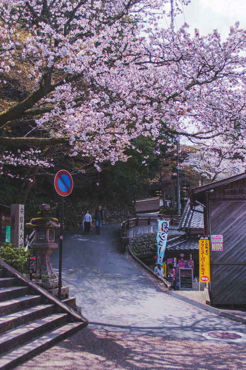 Source: http://etherealvistas.tumblr.com