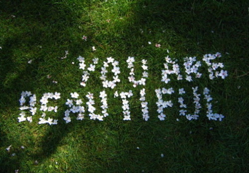 Source: http://solar-bar.tumblr.com