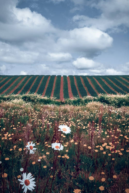 Source: http://j-k-i-ng.tumblr.com