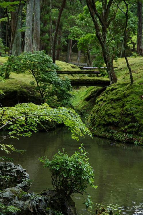 Source: http://faeriegardens.tumblr.com