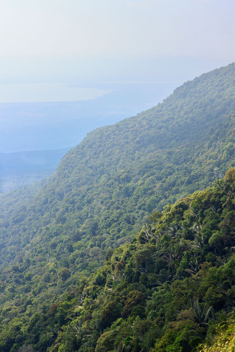 Source: http://tropic-havens.tumblr.com