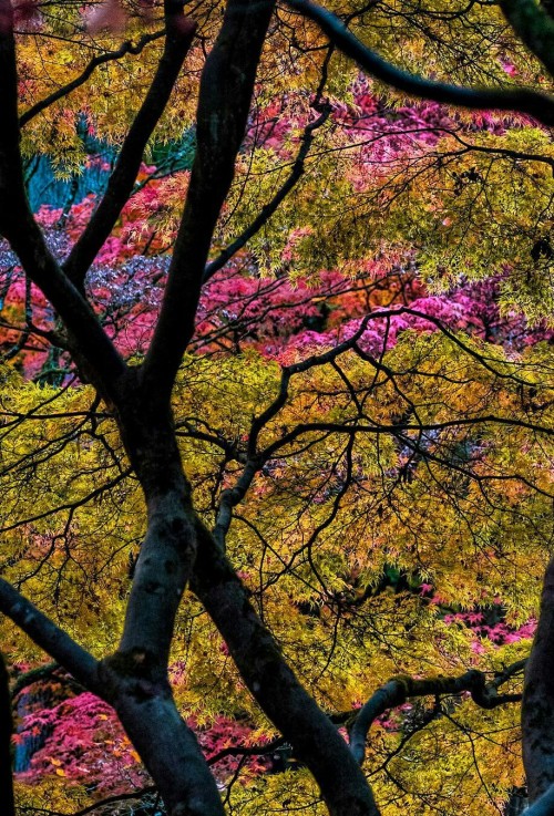 Source: http://j-k-i-ng.tumblr.com