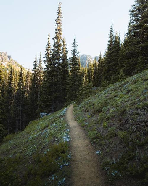 Source: http://a-fricaa.tumblr.com