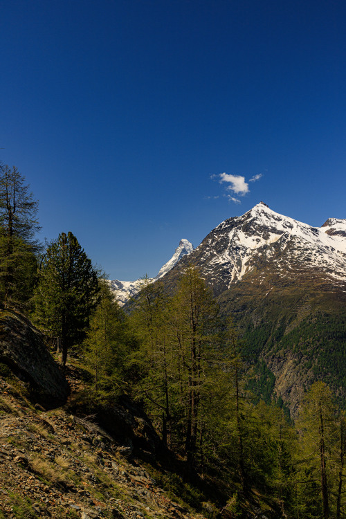 Source: http://nature-hiking.tumblr.com