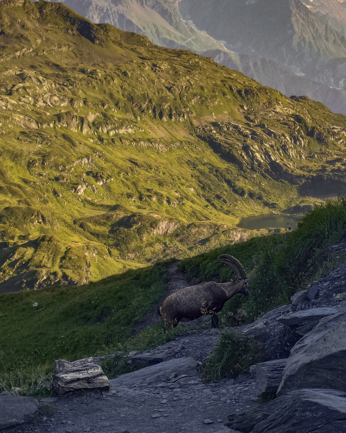 Source: http://nature-hiking.tumblr.com