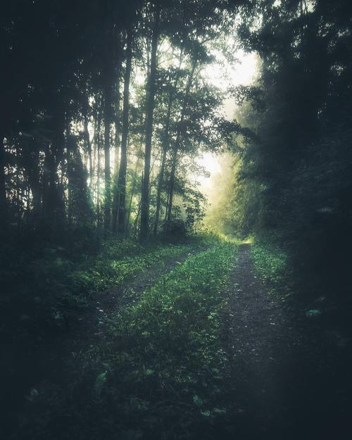 Source: http://breathings.tumblr.com