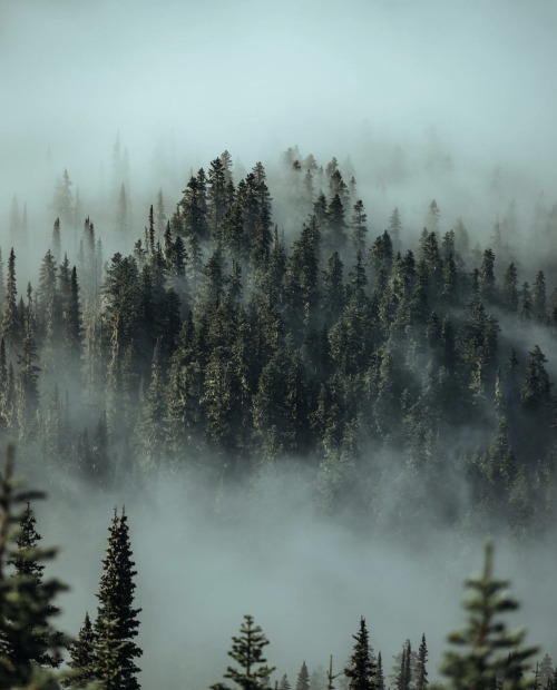 Source: http://whanderlost.tumblr.com