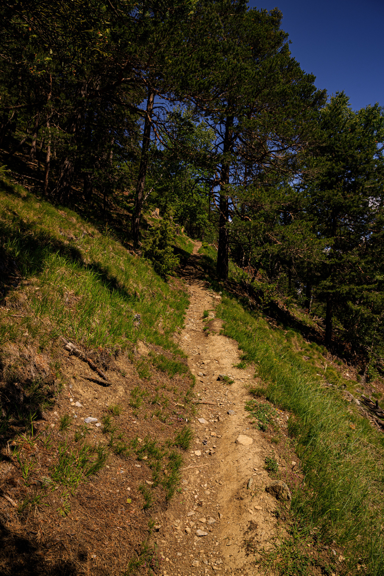 Source: http://nature-hiking.tumblr.com