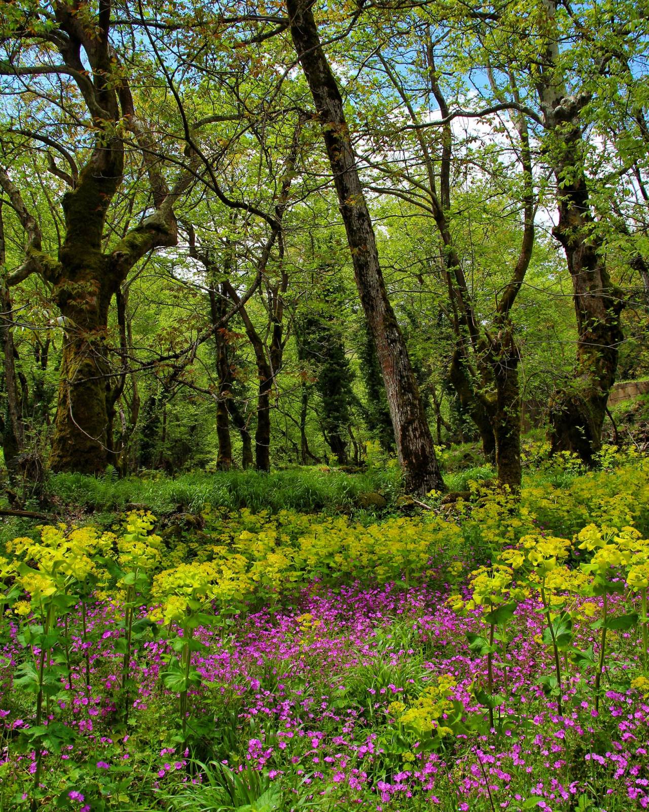 Source: http://gemsofgreece.tumblr.com