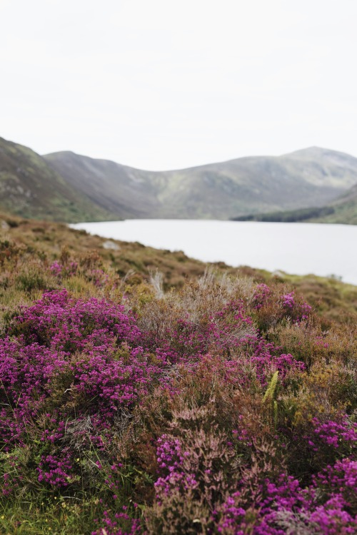 Source: http://kylebonallo.tumblr.com