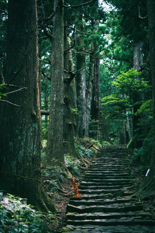 Source: http://bsziko.tumblr.com