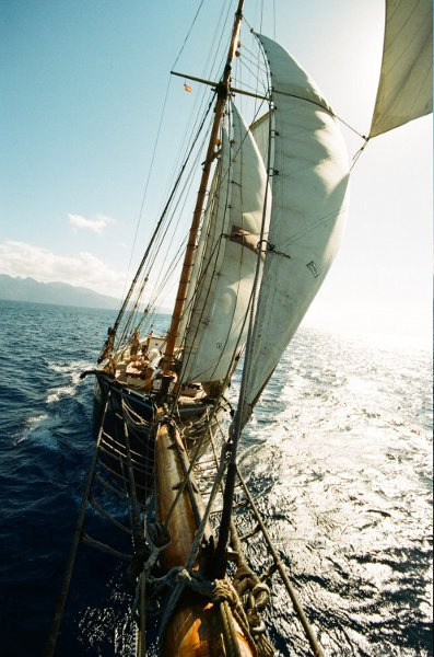 Source: http://alisaineurope.tumblr.com