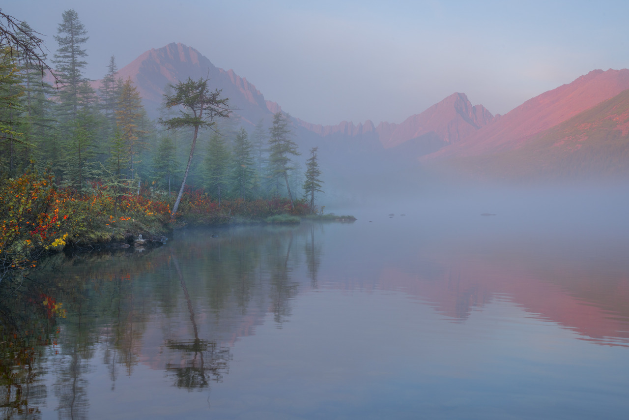 Source: http://expressions-of-nature.tumblr.com