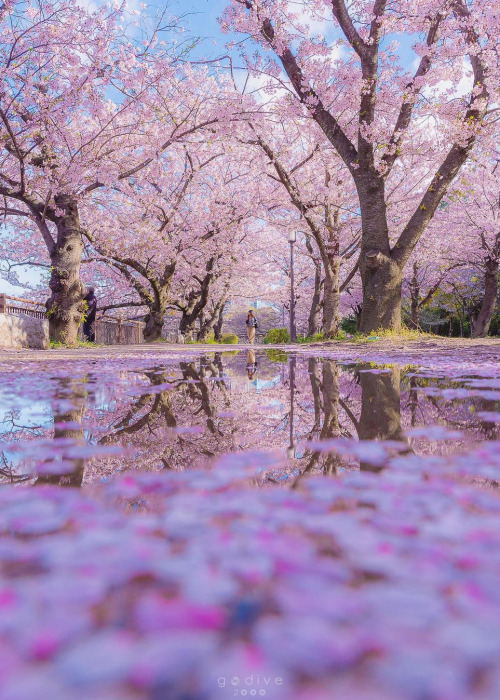 Source: http://coiour-my-world.tumblr.com