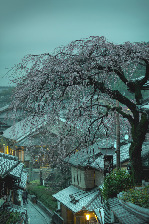 Source: http://tsukikages.tumblr.com