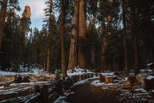 Source: http://breathings.tumblr.com