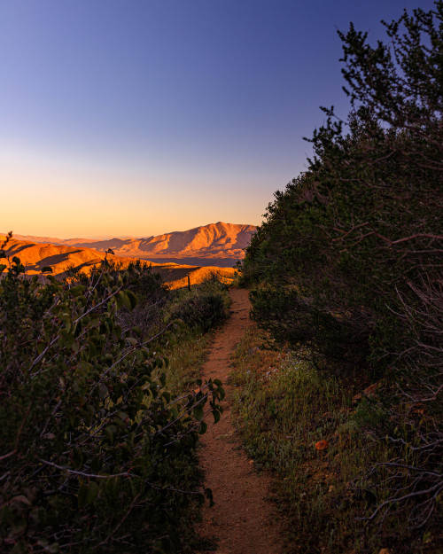 Source: http://nature-hiking.tumblr.com