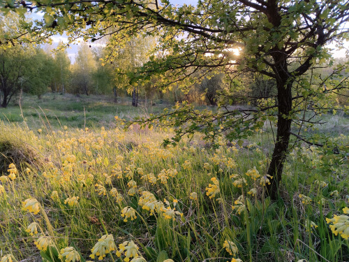 Source: http://expressions-of-nature.tumblr.com