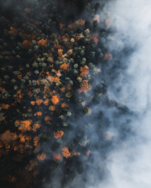 Source: http://naturenook.tumblr.com