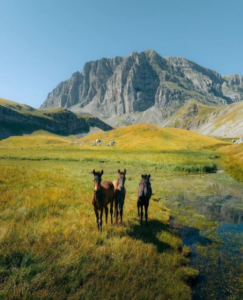 Source: http://gemsofgreece.tumblr.com