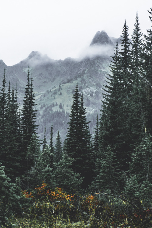 Source: http://whanderlost.tumblr.com