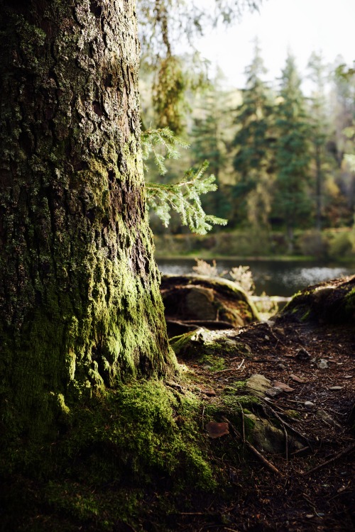 Source: http://kylebonallo.tumblr.com