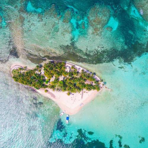 Source: http://tropic-havens.tumblr.com