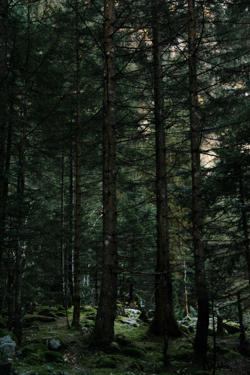 Source: http://whanderlost.tumblr.com