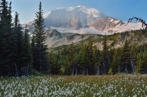 Source: http://deletingmyself.tumblr.com