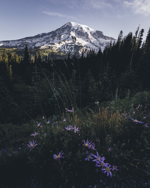 Source: http://junglerain.tumblr.com