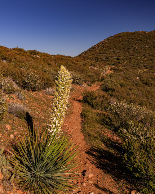 Source: http://nature-hiking.tumblr.com