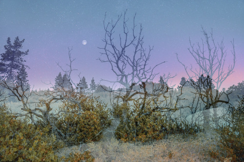 Source: http://expressions-of-nature.tumblr.com