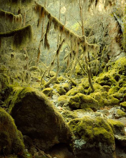 Source: http://gemsofgreece.tumblr.com