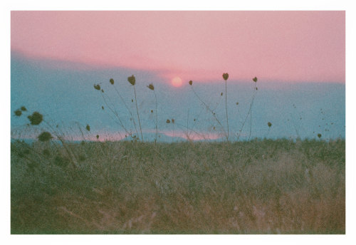 Source: http://expressions-of-nature.tumblr.com