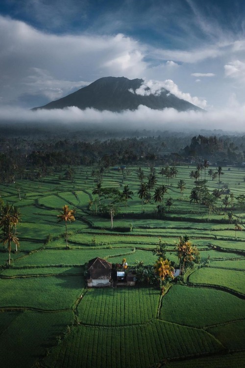 Source: http://alecsgrg.tumblr.com