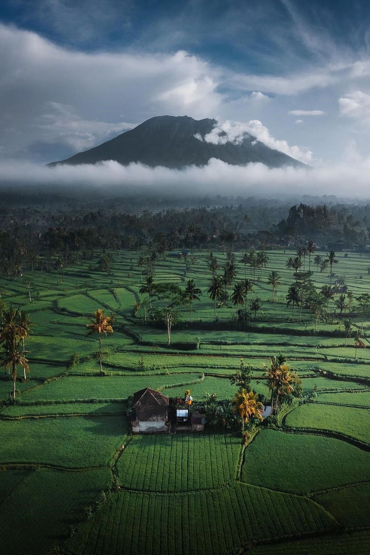 Source: http://alecsgrg.tumblr.com