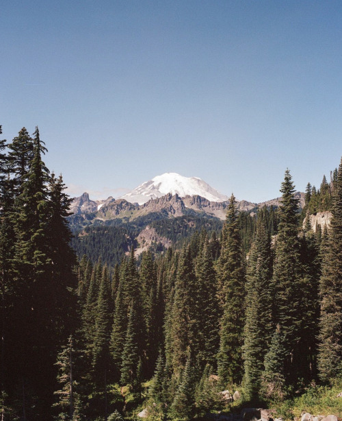 Source: http://naturenook.tumblr.com