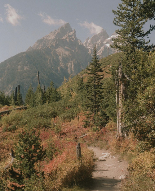 Source: http://whanderlost.tumblr.com