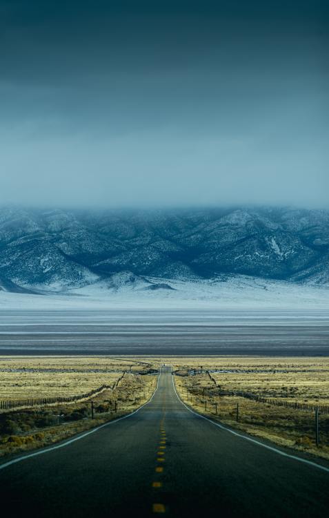 Source: http://expressions-of-nature.tumblr.com