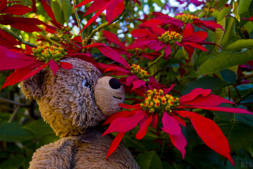 Source: http://satakentia.tumblr.com