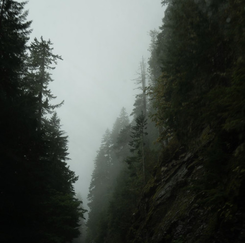 Source: http://whanderlost.tumblr.com