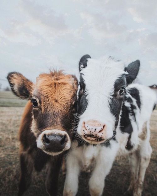 Source: http://breathings.tumblr.com