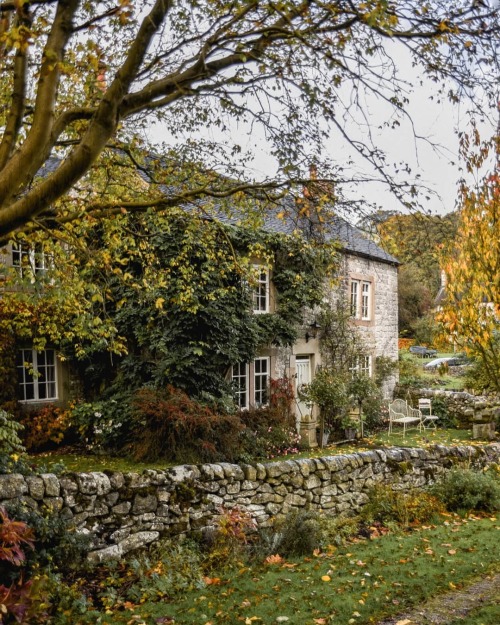 Source: http://faeriegardens.tumblr.com