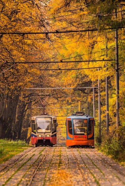 Source: http://j-k-i-ng.tumblr.com