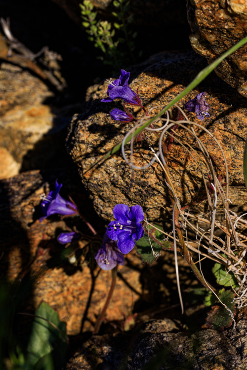 Source: http://nature-hiking.tumblr.com